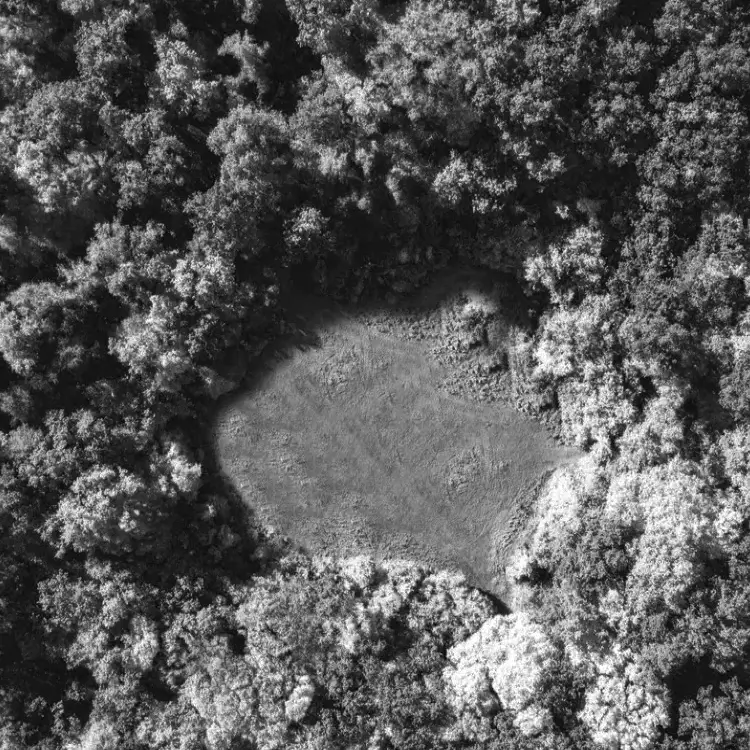 Vista aérea de um espaço circular vazio no meio de uma floresta densa. O terreno plano contrasta com a textura irregular das copas das árvores.