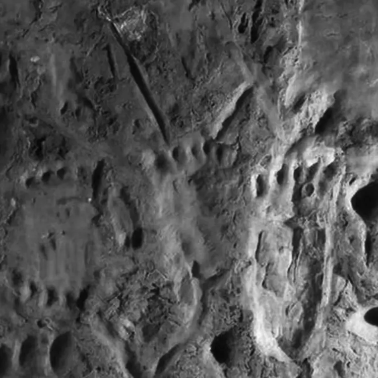 Marcas de mãos ou patas impressas em solo argiloso e seco. A textura detalhada sugere um registro pré-histórico ou criatura desconhecida.