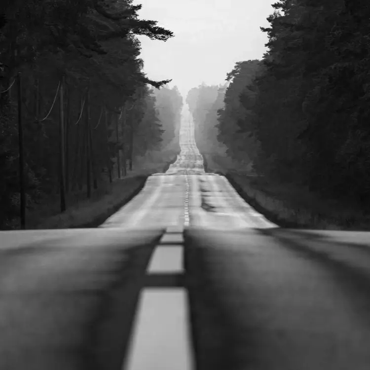 Rodovia deserta que se estende até um horizonte nublado entre florestas escuras. O asfalto úmido reflete a luz, evocando uma jornada solitária.