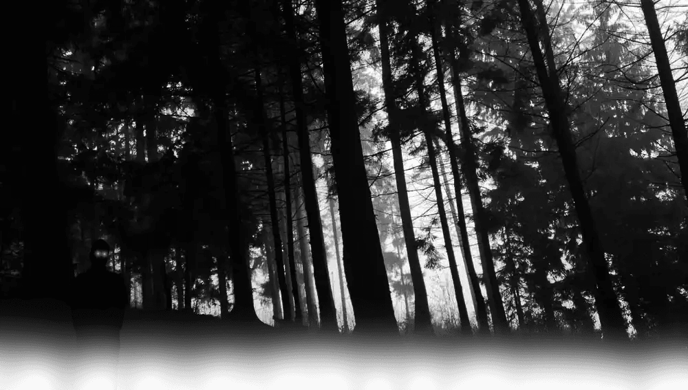 Silhueta escura de uma figura escondida entre árvores em uma floresta noturna. Dois pontos de luz brilhante sugerem olhos observando na noite.