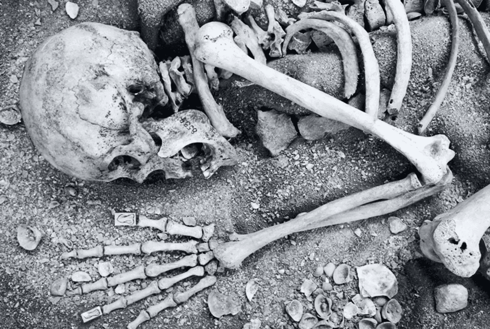 Ossada humana em um sítio de Sambaqui, cercada por conchas e sedimentos. A mão esquelética estendida sobre a terra conta a história de povos litorâneos pré-históricos.