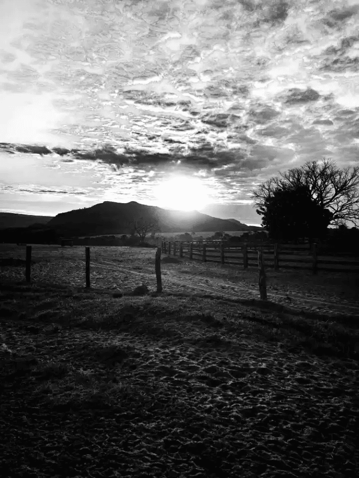 Paisagem rural em tons de cinza com cercas de madeira e montanha ao fundo. O sol brilha intensamente entre nuvens dramáticas, criando um clima solitário e inquietante.
